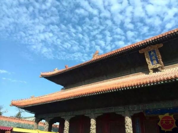 山东之行,探索与体悟之旅