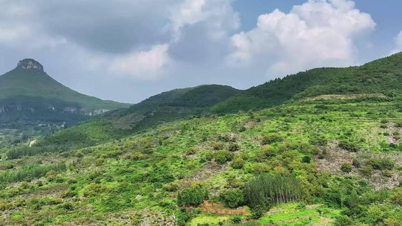 山亭区寻幽探秘之旅,沐浴自然怀抱,净化心灵之旅